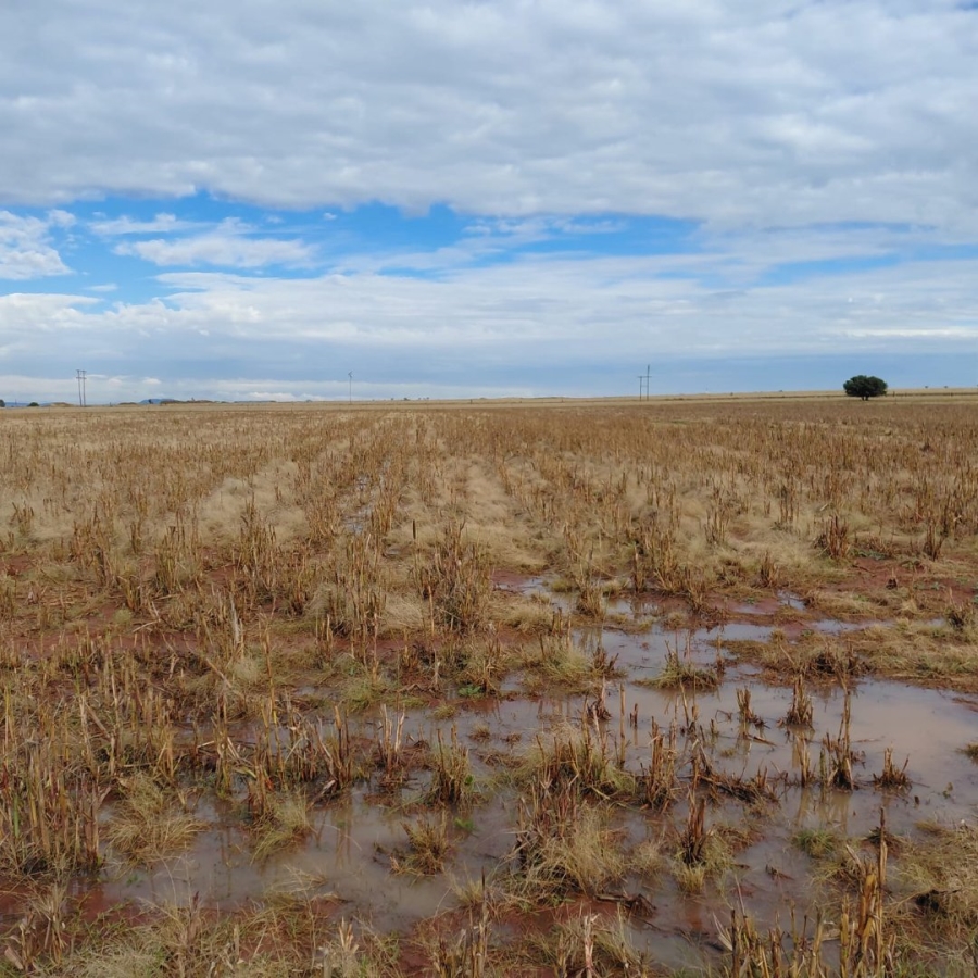 Commercial Property for Sale in Bloemfontein Rural Free State